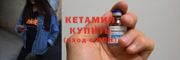 дживик Пересвет