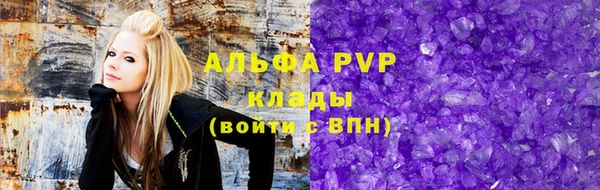 дживик Пересвет