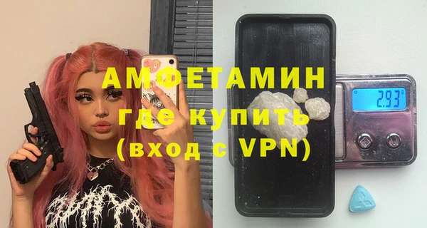 дживик Пересвет