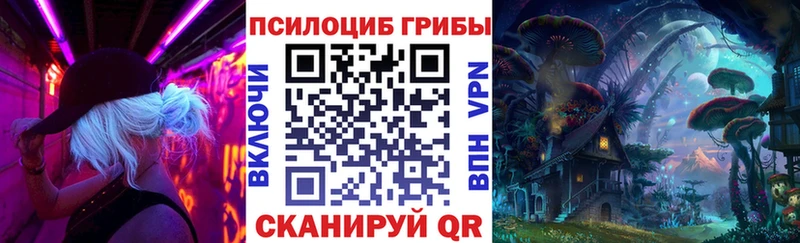 купить  цена  Струнино  Псилоцибиновые грибы мицелий 