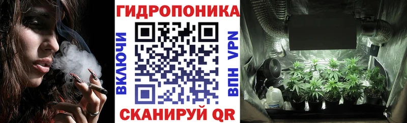 купить  сайты  Струнино  mega онион  Марихуана гибрид 